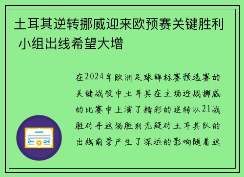 土耳其逆转挪威迎来欧预赛关键胜利 小组出线希望大增
