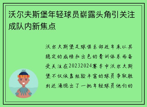 沃尔夫斯堡年轻球员崭露头角引关注成队内新焦点